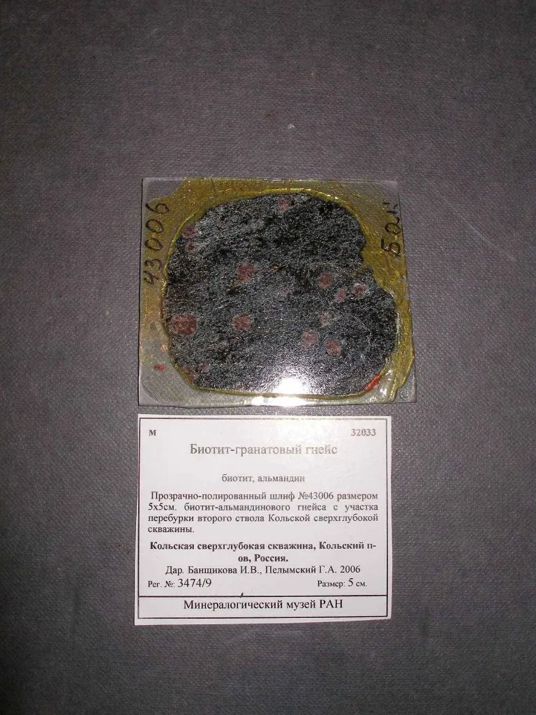 Tiger's Eye Polished Slab