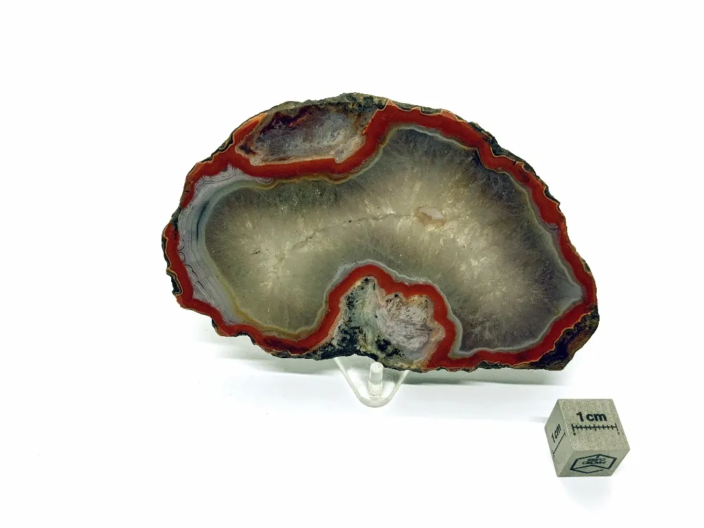 Carnelian Polished Slab